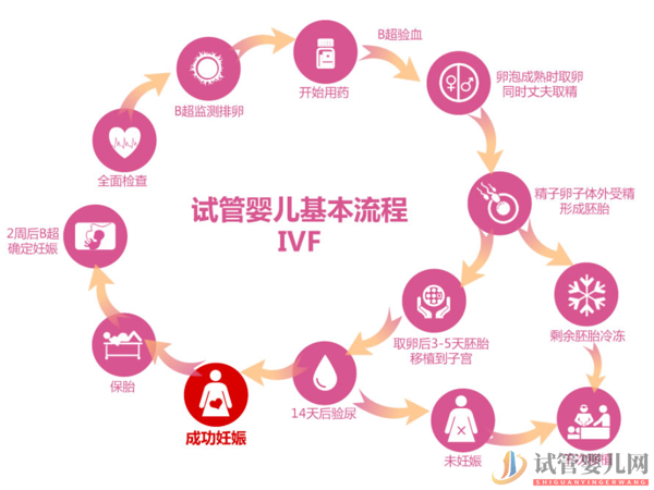 马来西亚试管流程