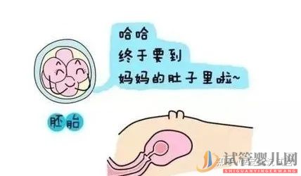 西宁(四代试管费用明细)带你提前了解几代试管婴儿的费用(图4)