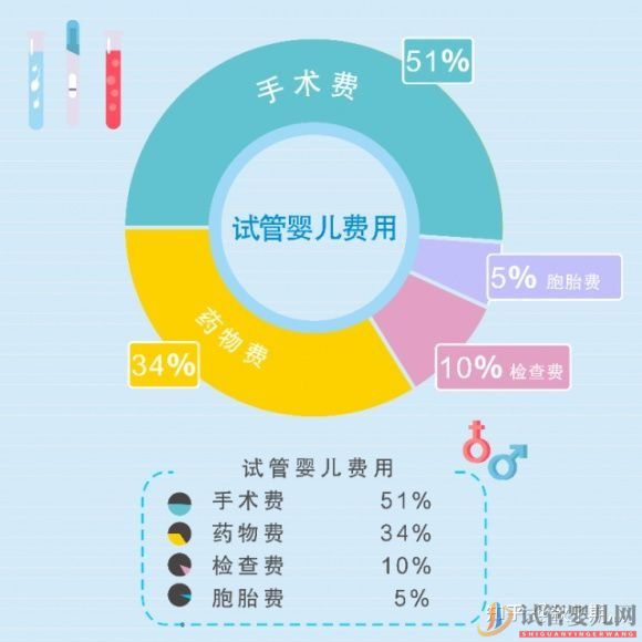 海口(一代试管费用总共多少包一切费用)试管婴儿一次性包成功需要花费多少钱(图1)