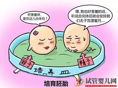 试管婴儿网2019年做试管婴儿流程最全讲解(图2)