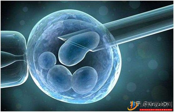 试管婴儿网:冻胚移植的流程概述_子宫内膜及身体准备非常重要(图2)