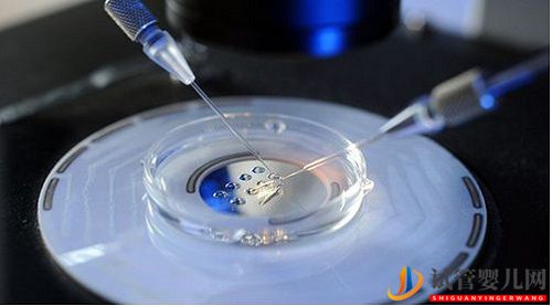 试管婴儿网:试管移植后，余下的胚胎会怎样处理？(图2)