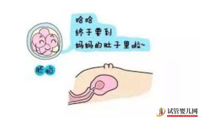 试管婴儿网:泰国做试管，胚胎移植却不着床，应该怎么办？(图2)