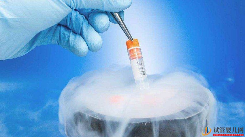 试管婴儿网:科普_试管促排移植后剩余的胚胎医院会怎么处理？(图2)