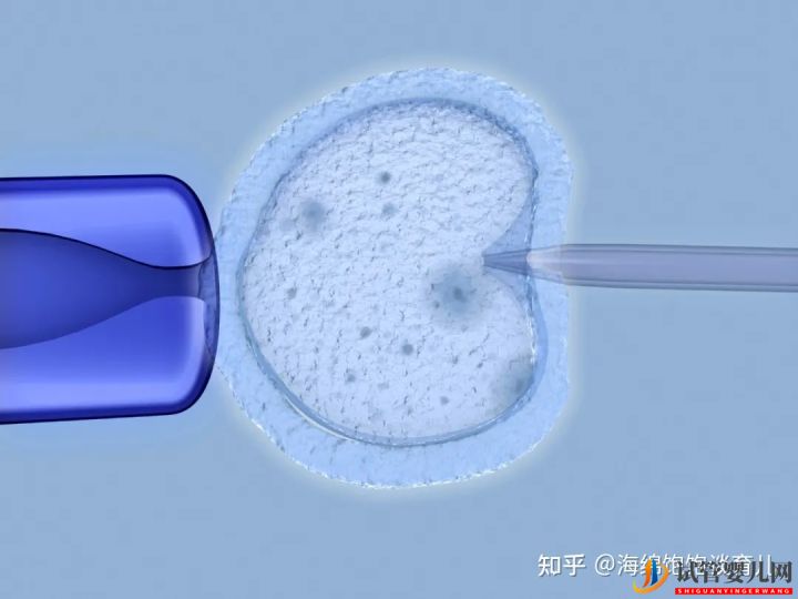 试管婴儿网:试管婴儿1代、2代、3代、4代哪个最好(图3)