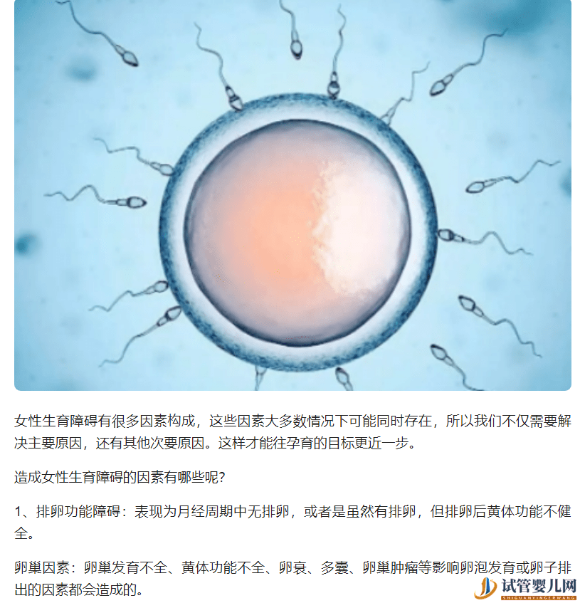 试管婴儿网:试管妈妈别着急：dhea吃多久能试管？做试管dhea一天该吃几片？(图4)