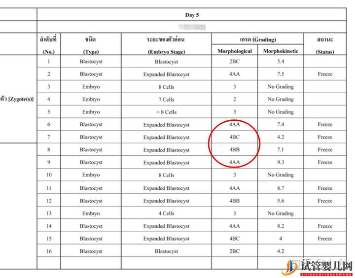试管婴儿网:8分钟带你了解关于囊胚等级的一切(图1)