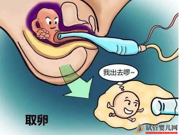 成功的女人,花50万做试管婴儿,试管过程你得知道(图9)