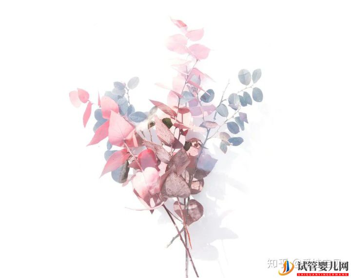 成功的女人,花50万做试管婴儿,试管过程你得知道(图15) 成功的女人,花50万做试管婴儿,试管过程你得知道(图15)