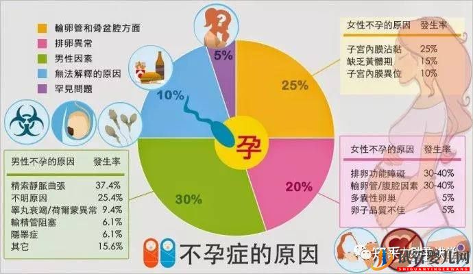 试管婴儿的一个基本流程和周期时间(图5)