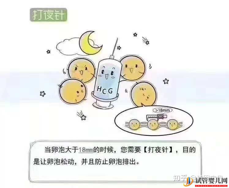 试管婴儿流程图,拿走不谢(图5)