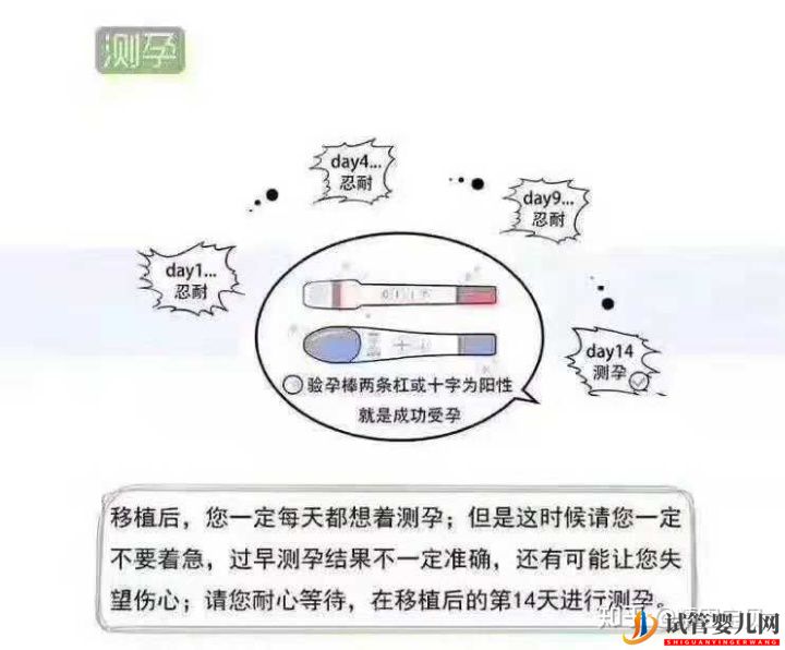 试管婴儿流程图,拿走不谢(图13)