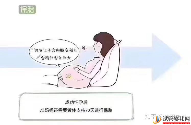 试管婴儿流程图,拿走不谢(图15)