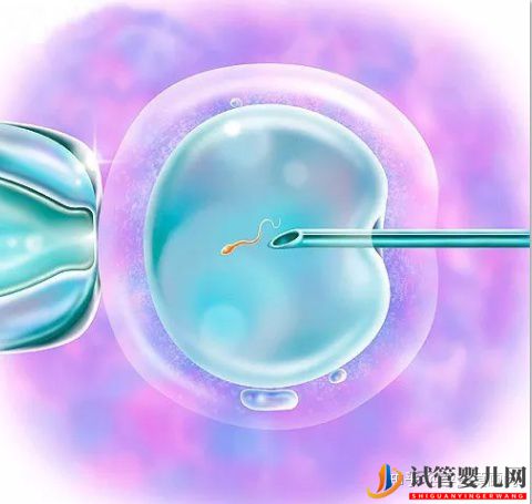 试管婴儿怎么做的全过程_做试管婴儿的流程(图1)