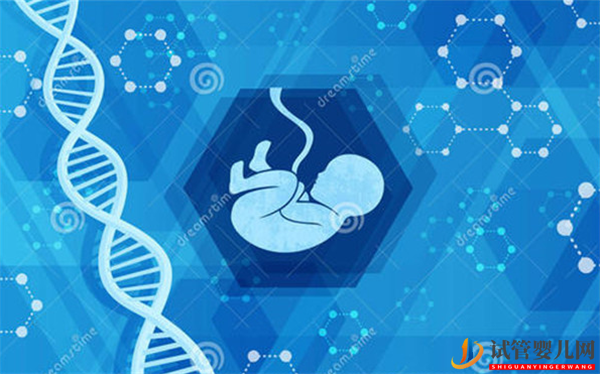 什么是试管婴儿_试管婴儿会遗传基因么(图1)