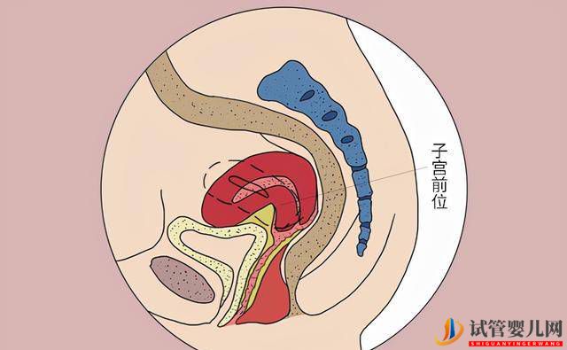 试管婴儿并不是人人都能做，要符合哪些条件？成功后要注意什么？(图1)