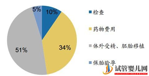 试管婴儿网:试管婴儿费用明细(图1)