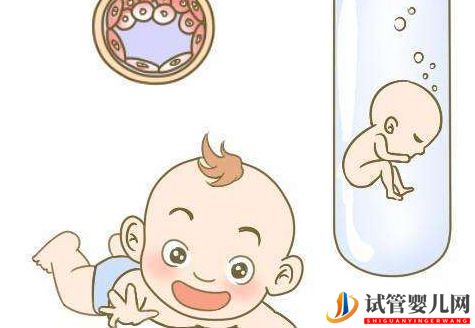 试管婴儿成功进行需要多少个卵泡才能达标？(图2)