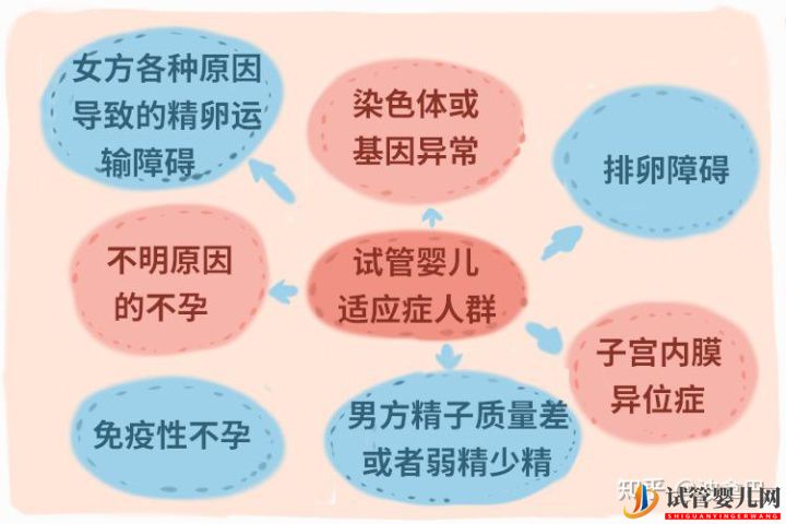 试管婴儿怎么做的全过程_什么是第三代试管婴儿_试管(图11)