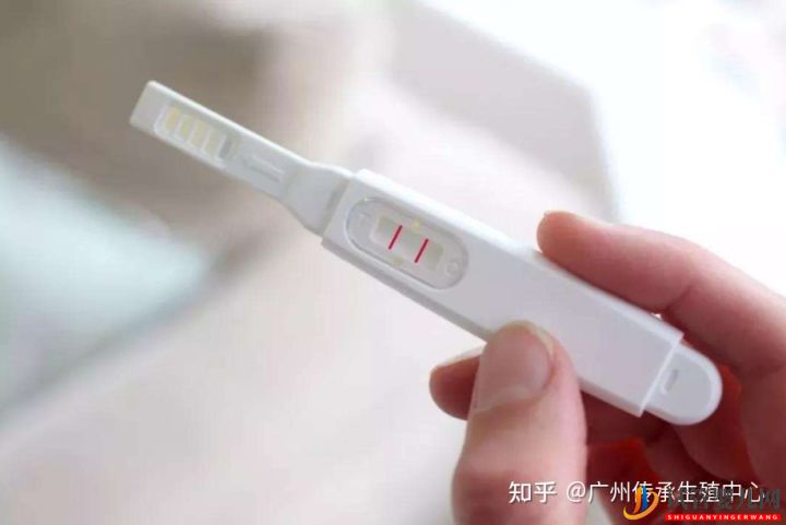 做试管很痛苦_生殖科医生告诉你做试管的全过程(图6)