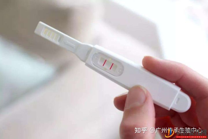 做试管很痛苦_生殖科医生告诉你做试管的全过程(图5)