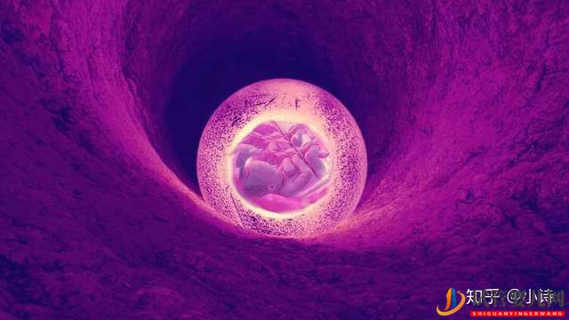 试管小白_胚胎移植的超详细过程,胚胎移植术前(图9)