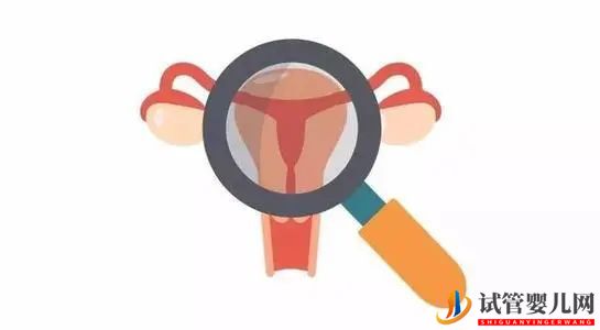 做试管婴儿前有必要做宫腔镜检查吗？(图1)