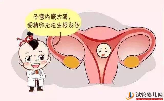试管婴儿胚胎移植遇子宫内膜不达标怎么办？(图2)