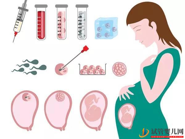 做试管婴儿，胚胎移植前后要注意什么？(图2)
