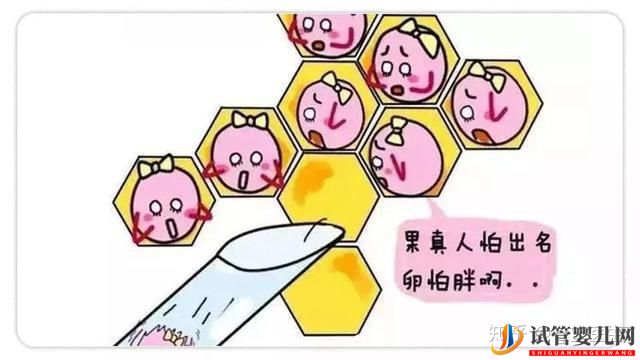 取卵真的特别疼吗(图8)