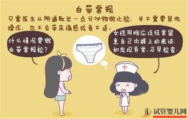 解读试管婴儿前白带常规检查的相关知识(图1)