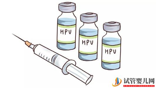 接种HPV疫苗后可以做试管婴儿吗？(图1)