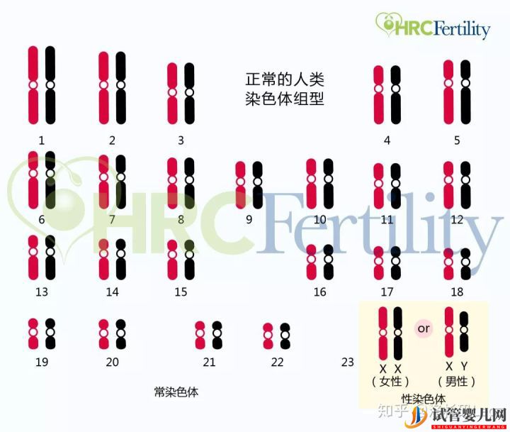 为什么选择美国试管婴儿_美国试管婴儿到底有哪些优势(图4)