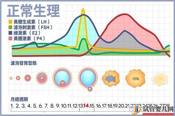 美国试管专家教你自测试管婴儿成功率的方法(图8)