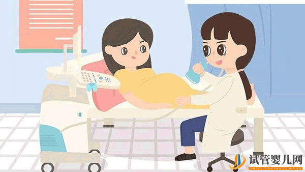 泰国试管婴儿成功率真的达到80%了吗(图1)