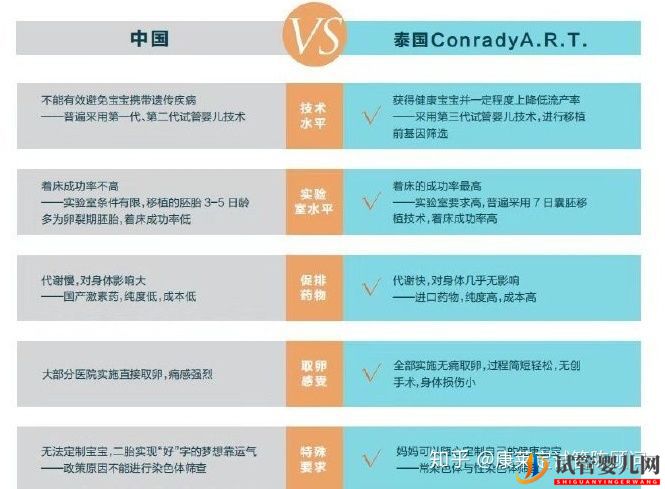 一张图告诉你,为什么越来越多人做泰国试管婴儿(图2)