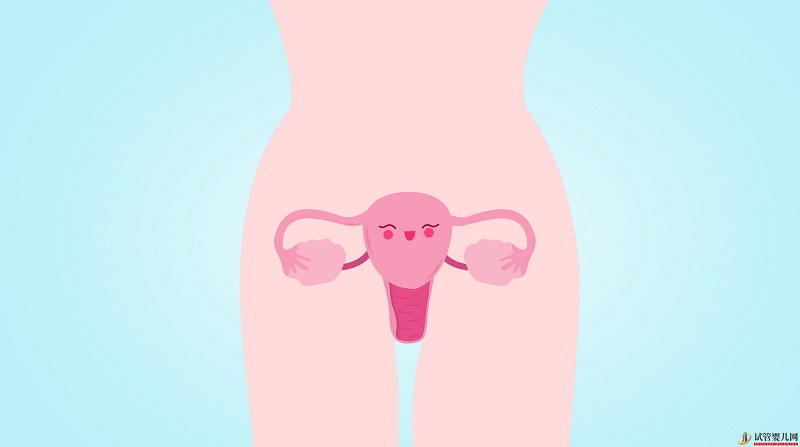得了多囊卵巢综合征，还能做试管婴儿吗？(图2)