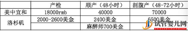 我在美国生娃_费用及全纪录(图8)