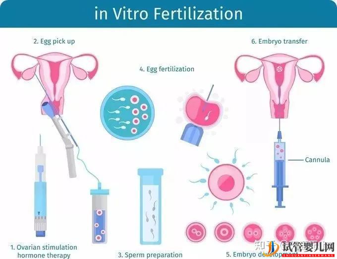 试管周期是什么意思_一个周期要多久(图2)