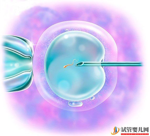 国内第三代试管婴儿移植前后,这些激素值很重要!(图5)