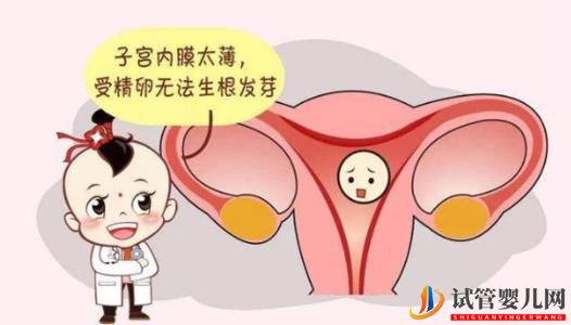 女性子宫内膜薄可以做试管婴儿吗？(图1)