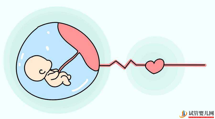 试管婴儿胚胎移植一枚好还是两枚好(图1)
