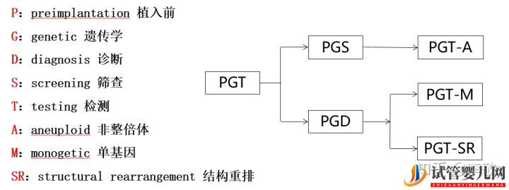 三代试管婴儿那些事儿(图2)