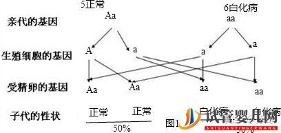 泰国三代试管PGD技术能解决白化病的遗传问题吗(图2)