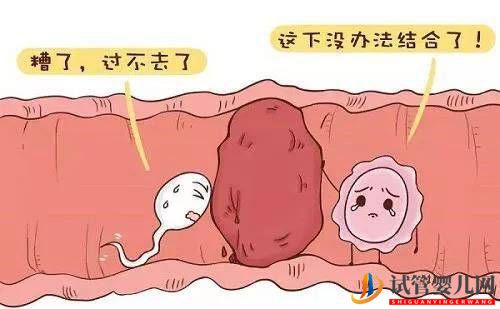 输卵管阻塞可以直接做试管婴儿吗(图1)