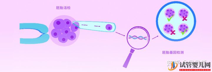 第三代试管可以筛选哪些遗传病,第三代试管能避免遗(图5)