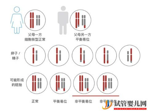 试管婴儿网:夫妻染色体没问题,为什么胚胎染色体异常就有问题(图1)