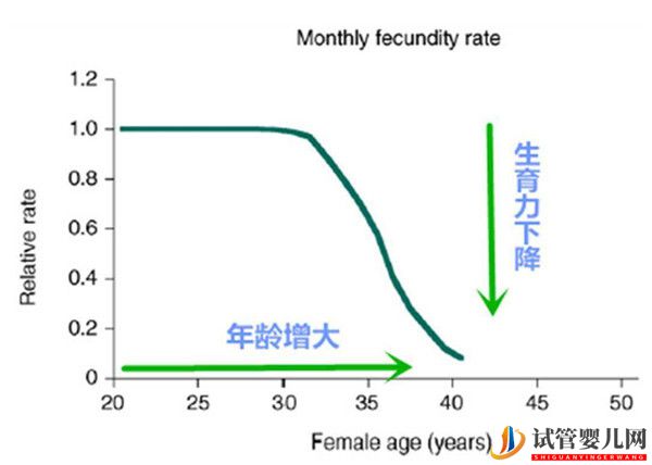 试管婴儿网:高龄女性对试管婴儿成功率有哪些影响_如何提高女性卵子质量(图1)