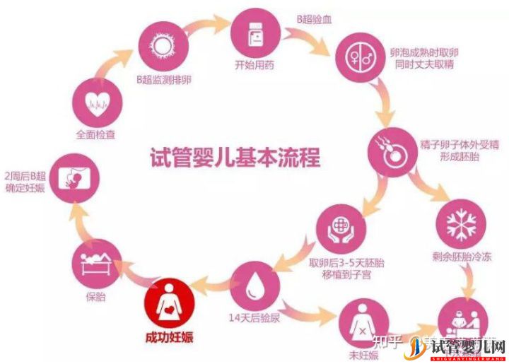 试管婴儿网:国内第三代试管婴儿全部详细流程(图1)