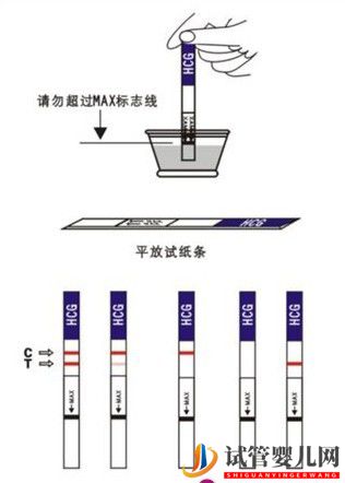 试管婴儿网:怀孕几天能测出来(图1)